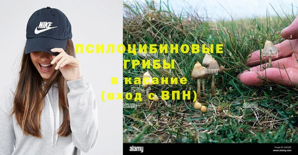каннабис Тында