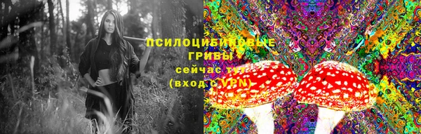 соль ск Бородино