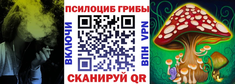 Галлюциногенные грибы Psilocybe  Козловка 